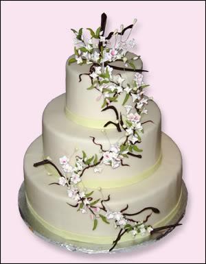 Wedding Cakes Pictures Blue Hydrangea Wedding Cake