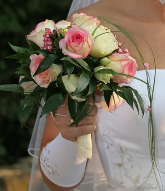 Slightly yellow ivory roses with pale pink outer edges
