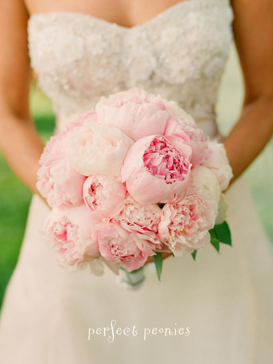 Stunningly gorgeous pale pink peonies bridal bouquet