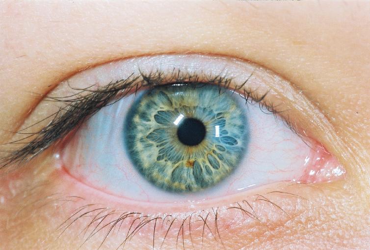 Natural Kaleidoscope Eyes Natural Kaleidoscope Eyes