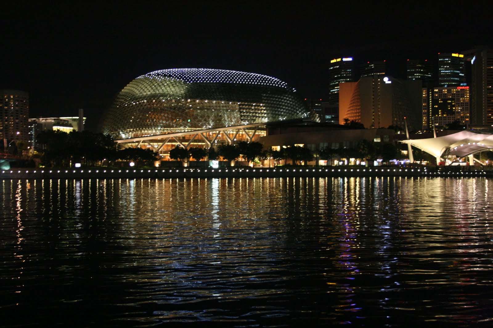 [Image: IMG_6350.JPG]