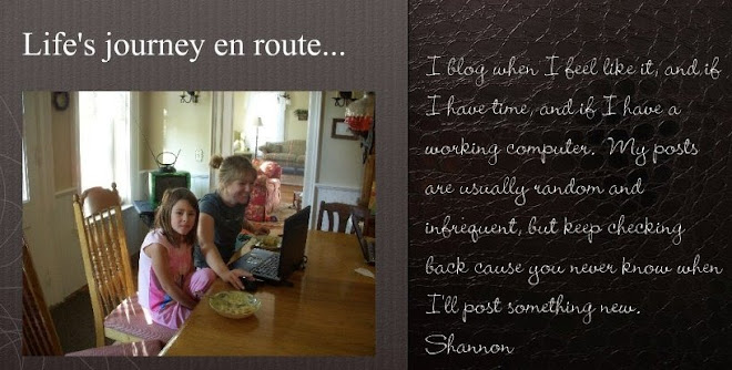 Life's Journey...En Route
