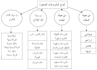 مفهوم المشروعات الصغيرة Small+project1