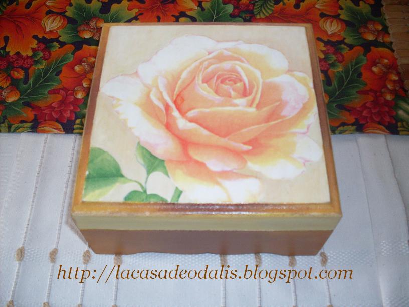 me encontre una rosa