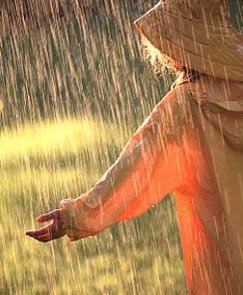 yagmurgx6 - yagmurgx6