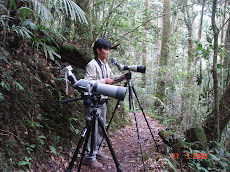 Jason on the scope for Whiteheads broadbill