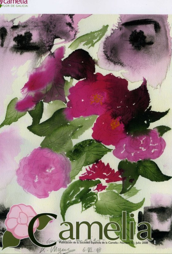 [portada+revista+SEC+NÂº+12.jpg]