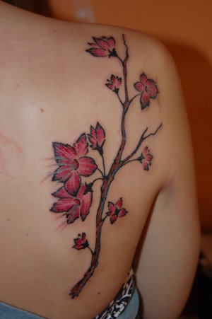 cherry blossom tree tattoos. cherry blossom tree tattoo.