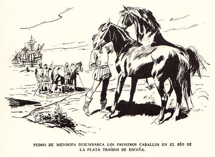 [caballo005.jpg]