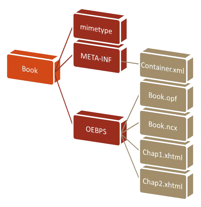 read the visual brain in action