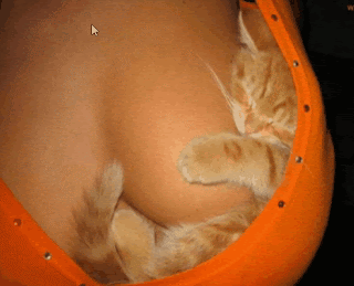 We are being Data Mined. We run our own algorithms against our logs.