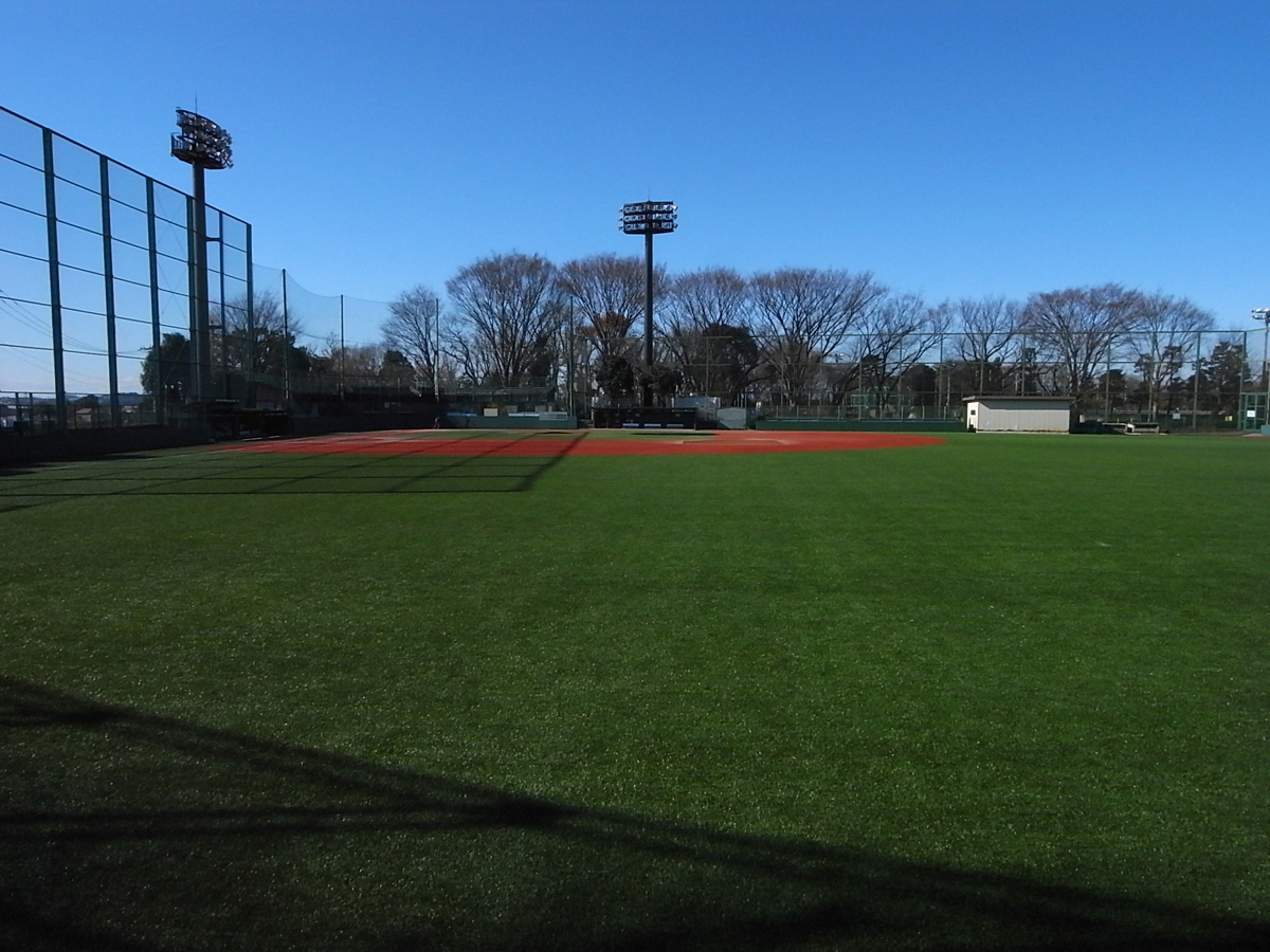 Profile of a Baseball Field