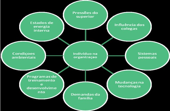 FATORES EXTERNOS QUE INFLUENCIAM O COMPORTAMENTO