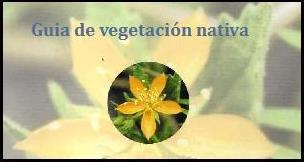 GUIA DE VEGETACIÓN NATIVA