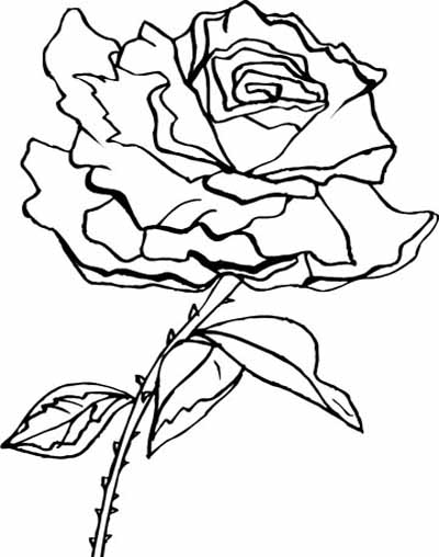 Flower Coloring Pages For Print | Free World Pics