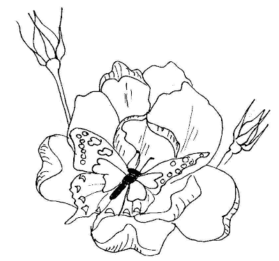 coloring pages for adults. coloring pages of flowers for