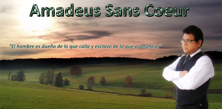 Amadeus Sans Coeur Blog