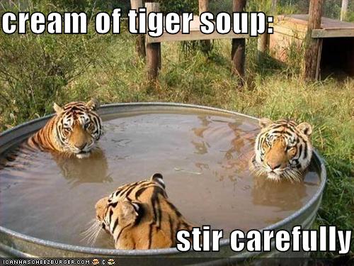 funny-pictures-tigers-bath-soup.jpg