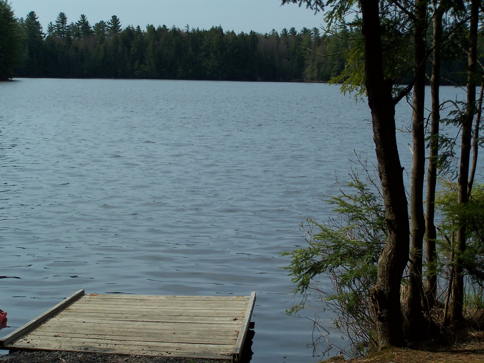 Quiet Kayaking in New York State Francis Lake, part one