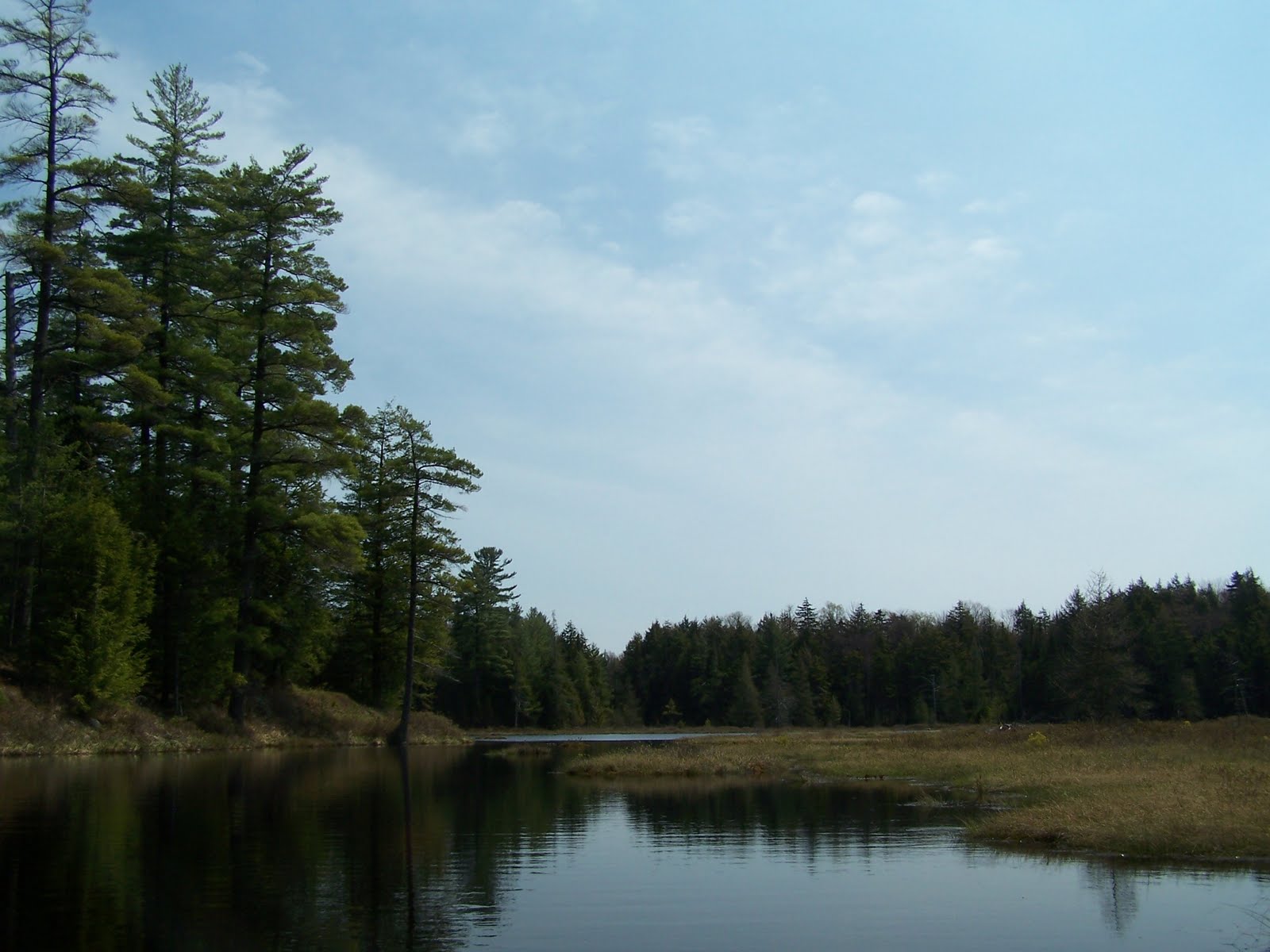 Quiet Kayaking in New York State Francis Lake, part one