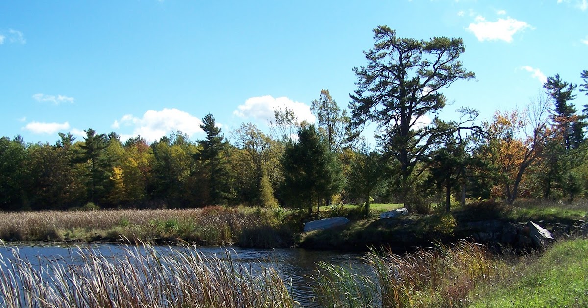 Quiet Kayaking in New York State Crooked Creek, part one