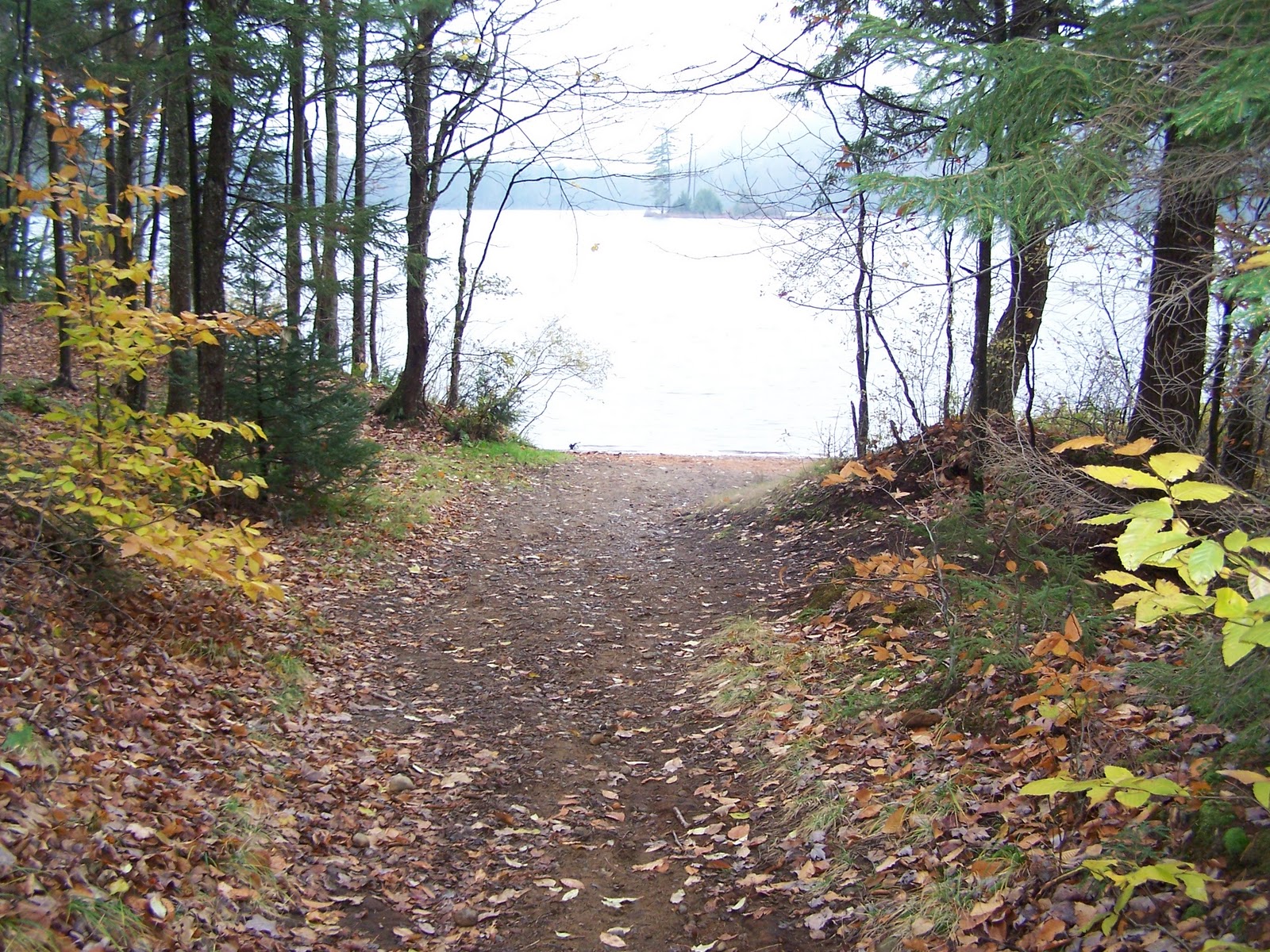 Quiet Kayaking in New York State Moss Lake
