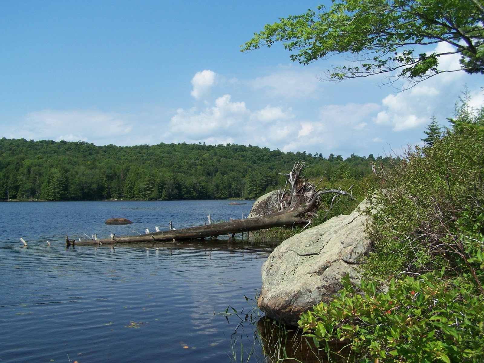 Quiet Kayaking in New York State South Pond, part two