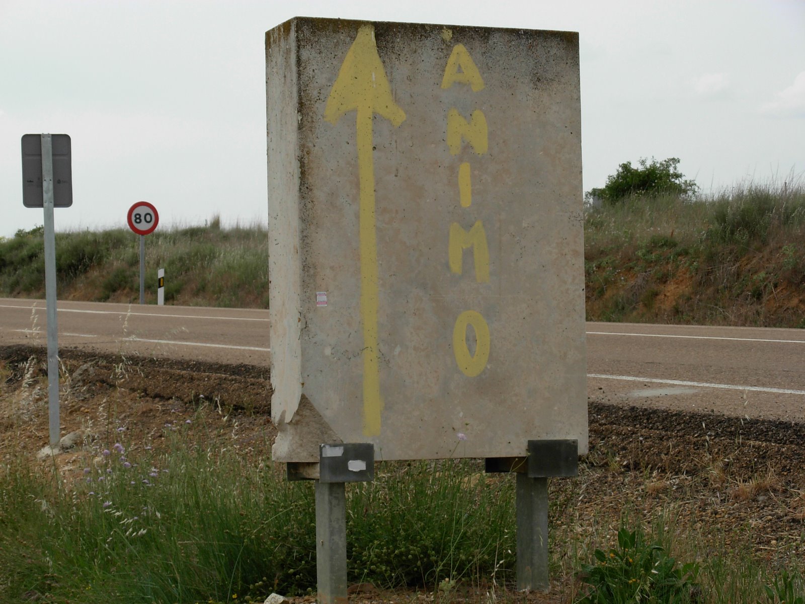 [DSCN0773.JPG]