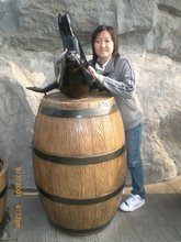 My Photo