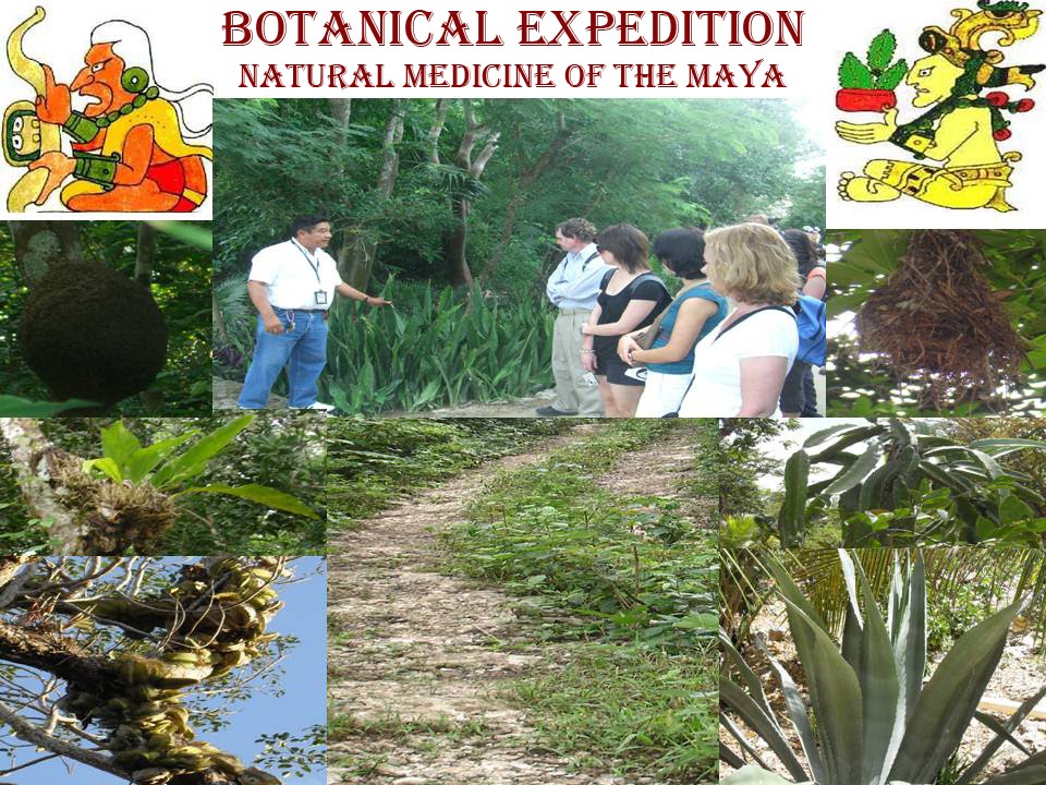 BOTANICAL EXPEDITION