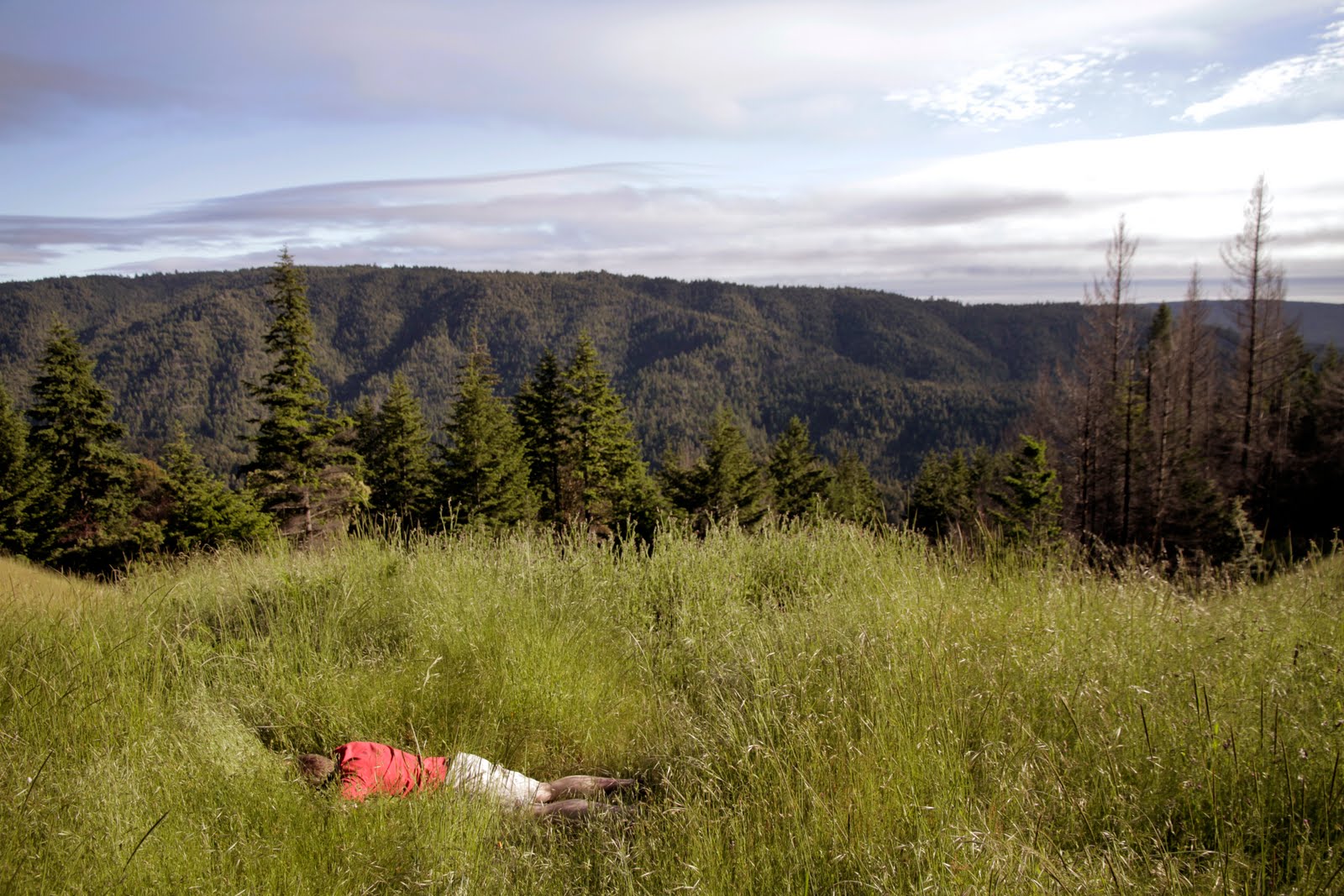 KEV IS DEADin Boonville, California