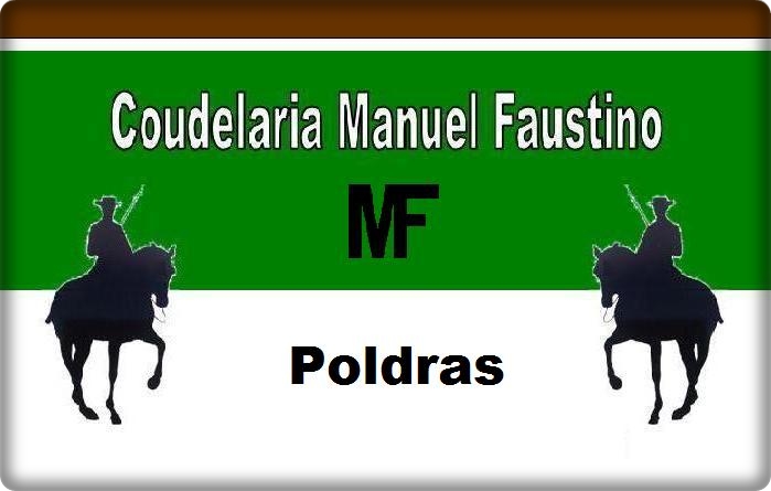 Poldras