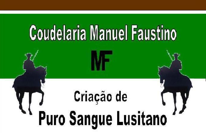Coudelaria Manuel Faustino