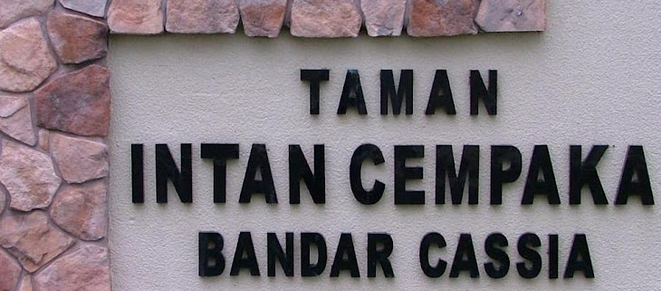 Taman Intan Cempaka