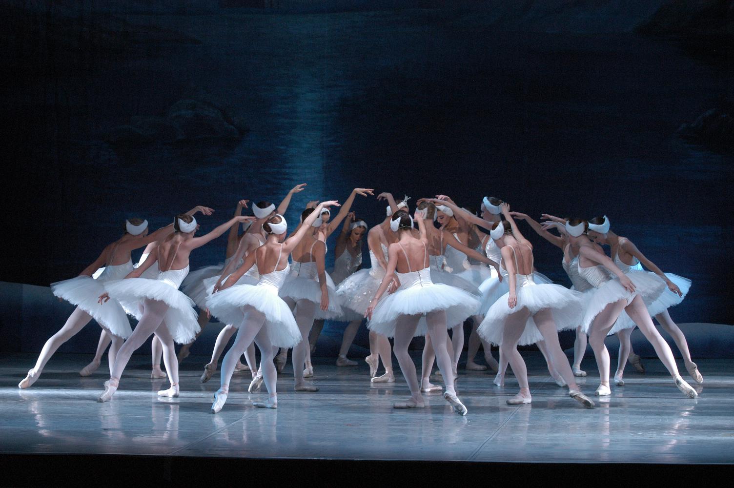 We saw Swan Lake,