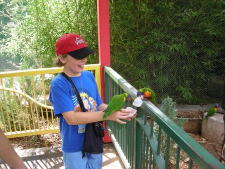 [Chandler+at+the+zoo+with+parrots.jpg]