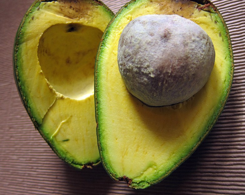 Vegan India! God’s Own Butter The ‘Avocado’ Fruit