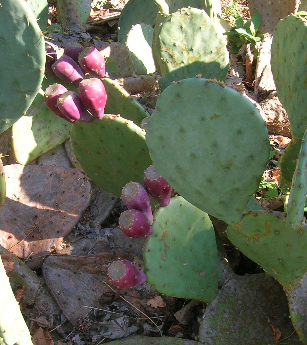 [DSCN2505.JPG]