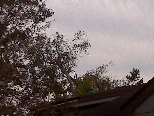 [=?Windows-1252?B?SU1HMDAwNjguanBn?=-783507]