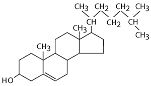 structure of cholesterol