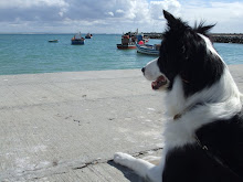 Chinzi at Struisbaai