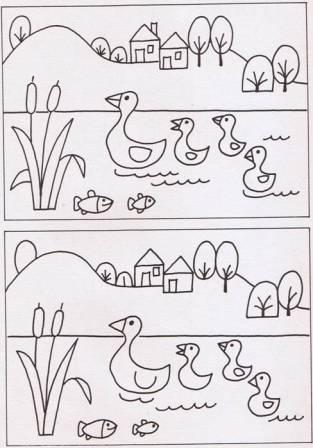 [differenze.jpg]