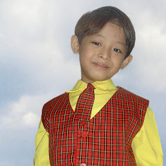 VISI