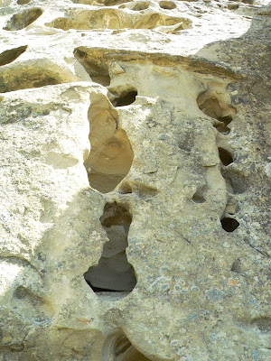 Living and Dyeing Under the Big Sky: Weatherman Draw