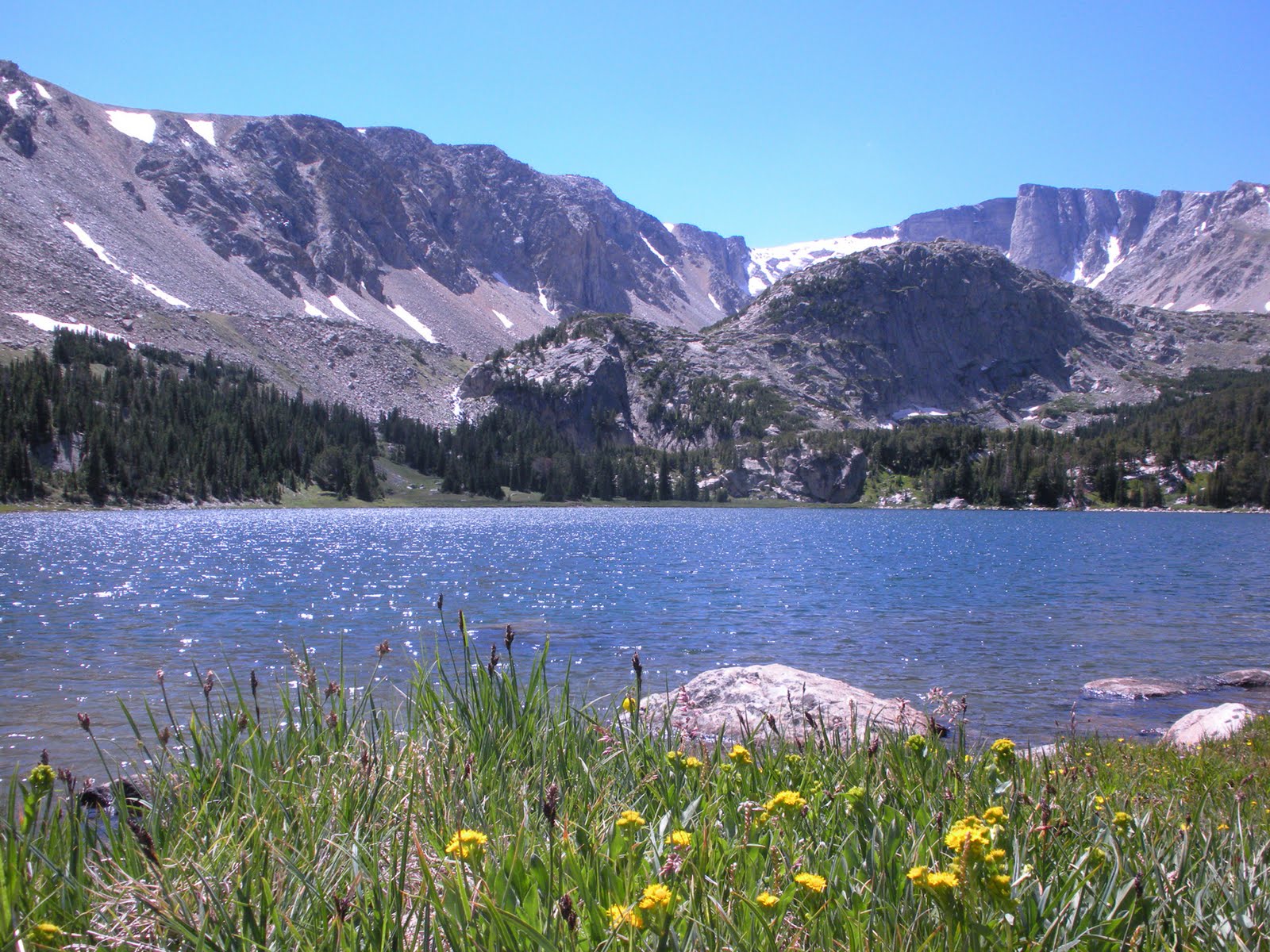 Living and Dyeing Under the Big Sky Timberline Lake Beartooth Mountains