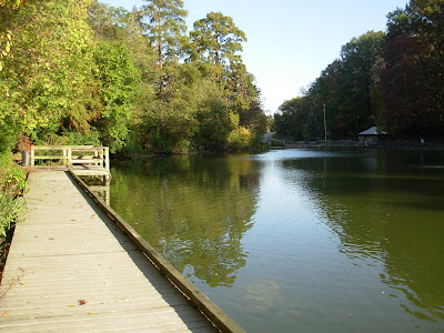 burnet woods