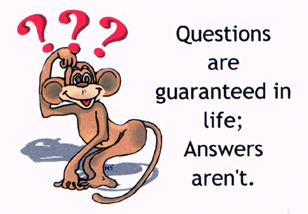 [questions.gif]