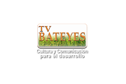 TV BATEYES