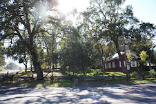 Altaville School house and trees