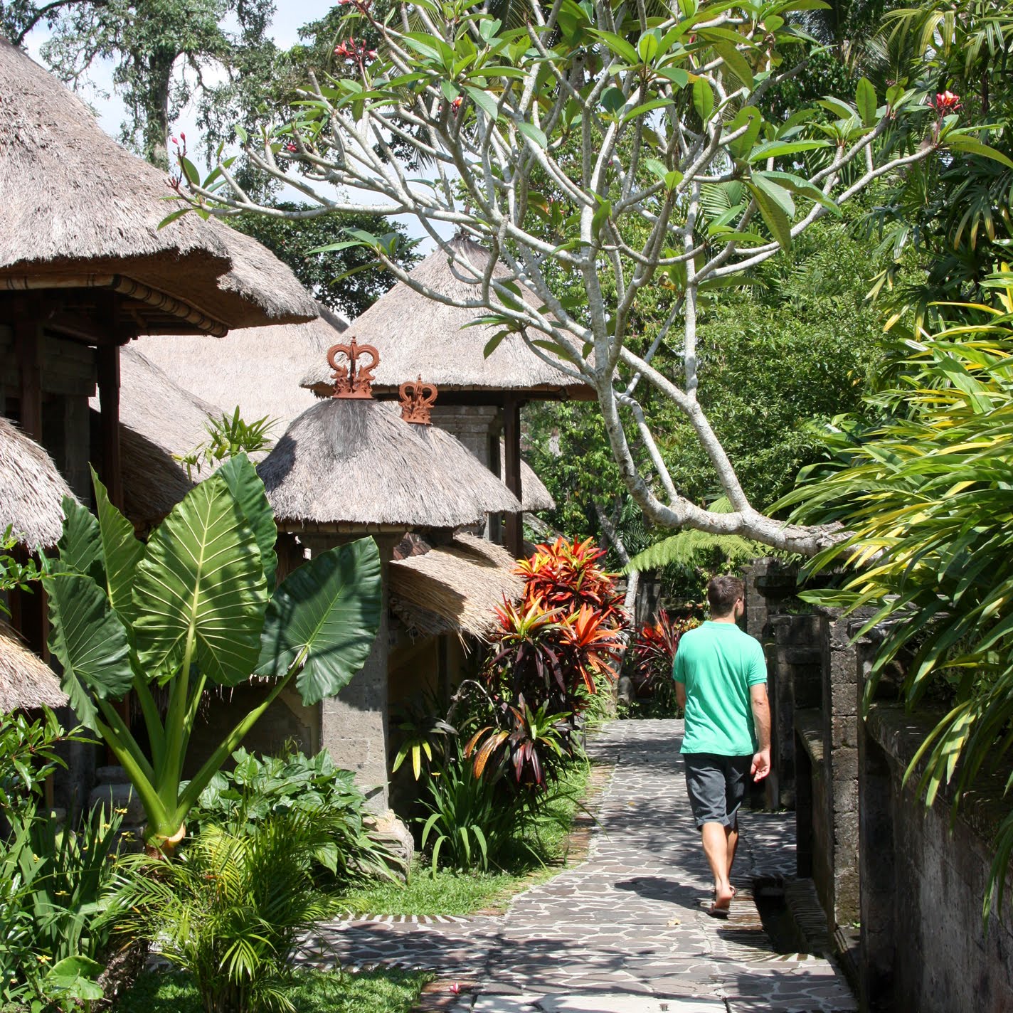 [bali4.jpg]